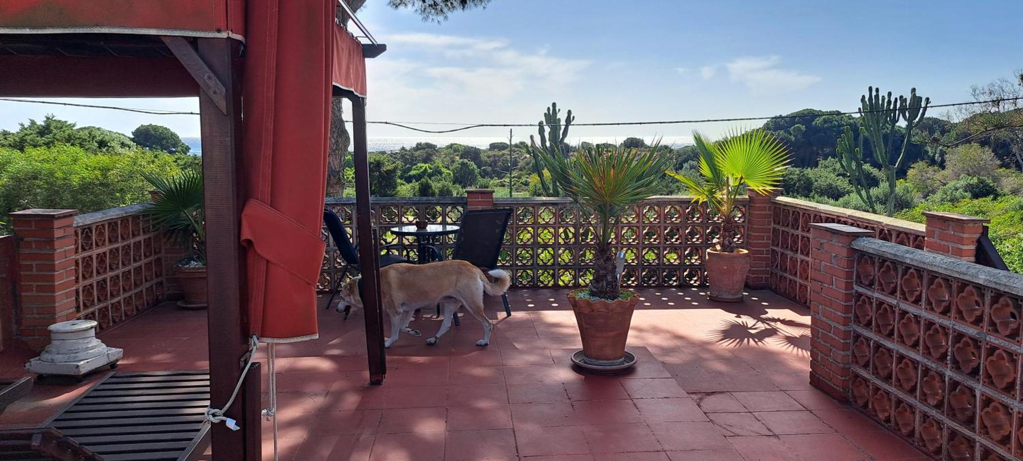 Garden Cottage At Casa Madden Marbella Exterior foto
